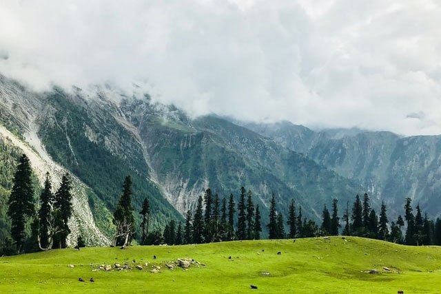 Kasmir_Gallery_2