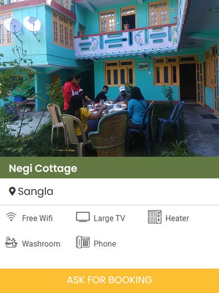 Negi-Cottage-Singal