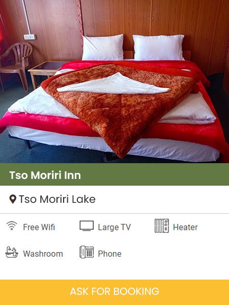 Tso-Moriri-Inn-Tso-Moriri-Lake